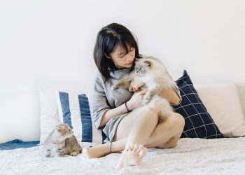 Snuggling Up to the Ultimate Adjustable Bed