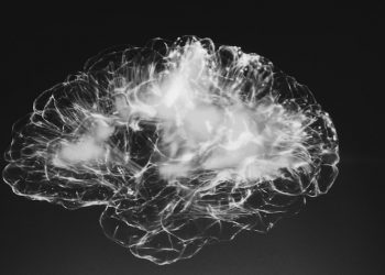 Lack of Sleep Effects on Brain