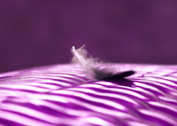 How Much Does a Queen Purple Mattress Weigh