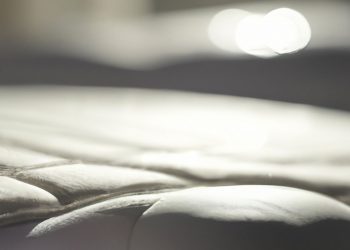 How to Get Pee Out of Nectar Mattress