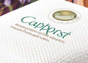 How to Get Rid of Casper Mattress Smell