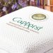 How to Get Rid of Casper Mattress Smell