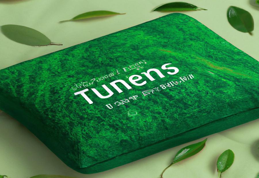 The Zinus Green Tea Memory Foam Mattress 