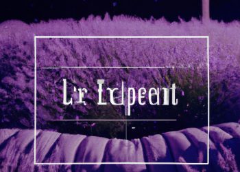 Where Can I Lay on a Purple Mattress