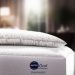Where to Buy Denver Mattress Doctor’s Choice Plush