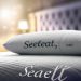 Which Mattress is Better Sealy or Beautyrest