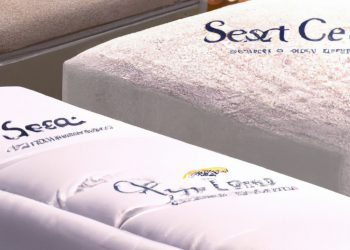 Which Mattress is Better Sealy Serta or Simmons