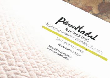 Which Sealy Mattress is Best for Back Pain?