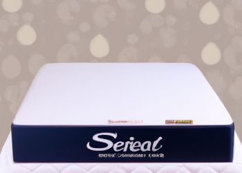 Who Owns Sealy Mattress